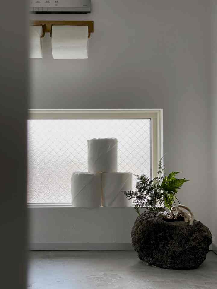 ルスルスの溶岩プランターにはワイルドな見た目のグリーンを入れて♡
この小さな窓は意外にも日光が良くさすのでグリーンを育てるのに丁度良い！！
#観葉植物
#モールテックス