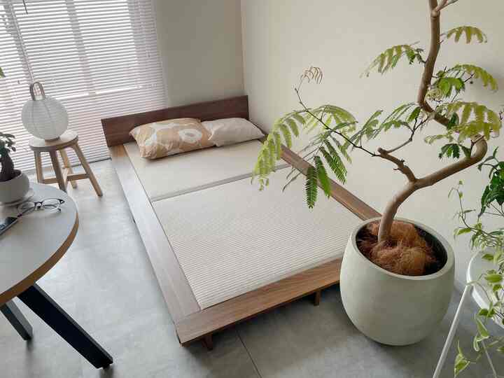 Natural toned bedroom featuring a low wooden bed and green plants with a cozy, clean atmosphere