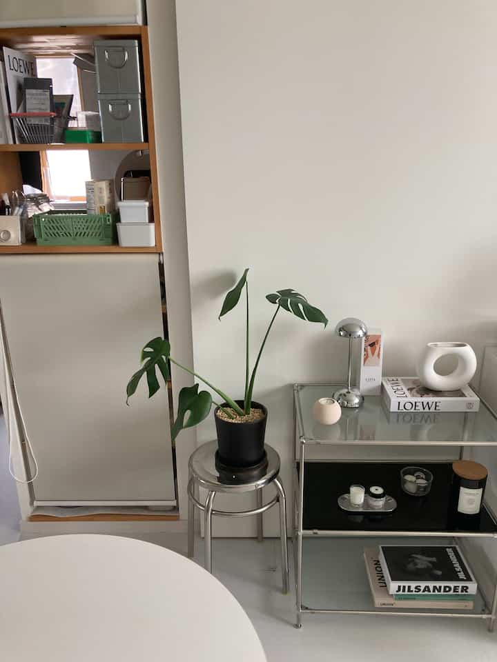 White and silver toned living room featuring a monstera plant on a stool, creating a simple and natural space