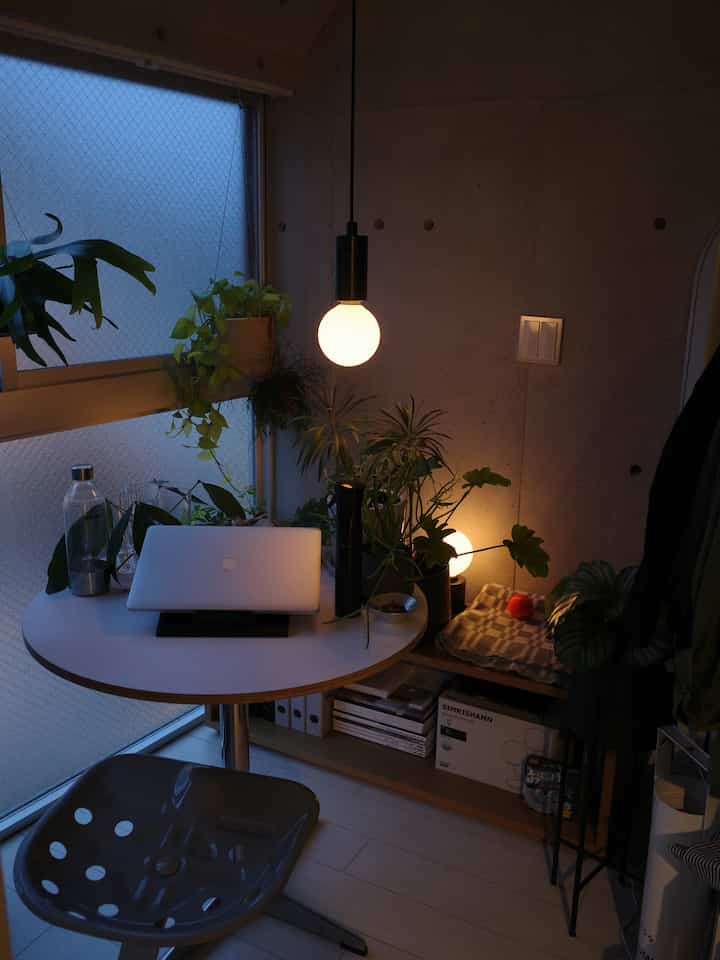 Warmly lit, compact studio apartment home office with green plants and simple furniture