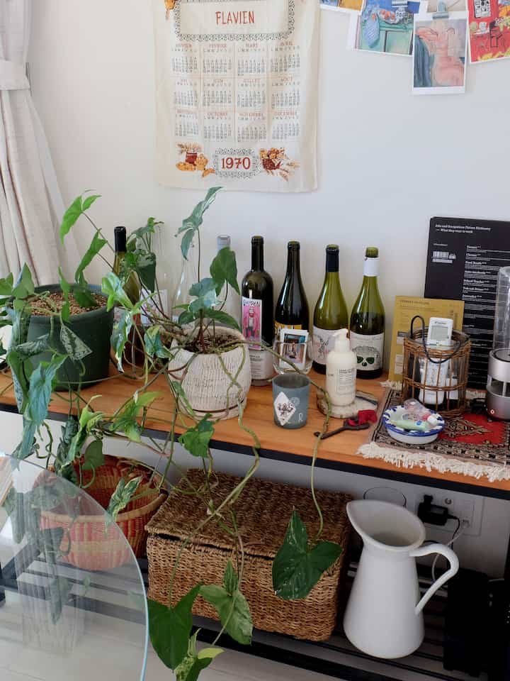 白い壁と木目調の棚に植物と瓶が置かれたナチュラルで温かみのあるキッチンスペース