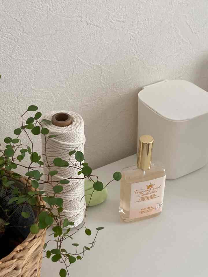 Natural-toned cozy space with plant and perfume on white wall and table surface