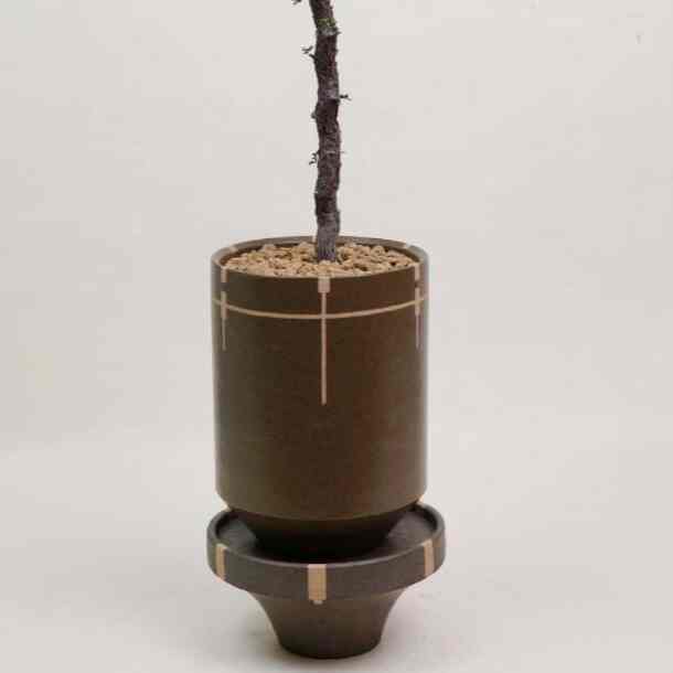 Set Pot Tanaman Padanan