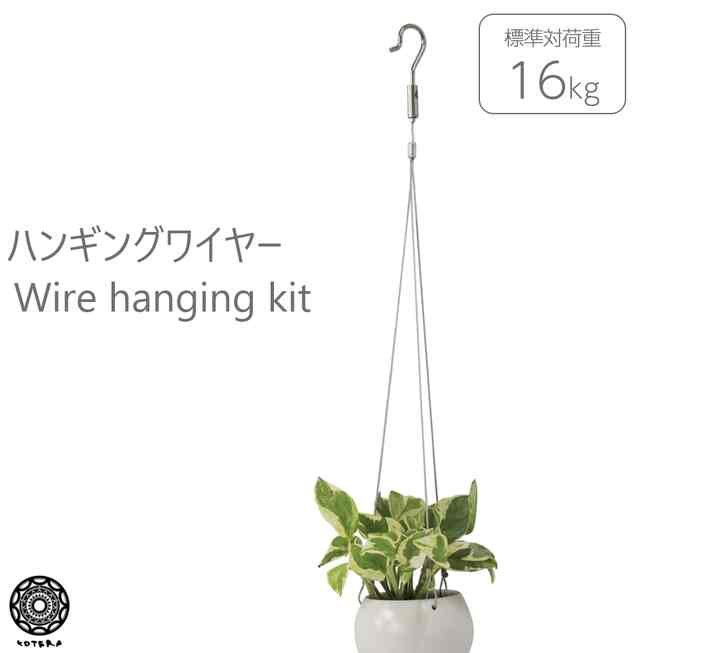 ワイヤー ハンギングキット 観葉植物 吊り下げ卓上  コテラ
