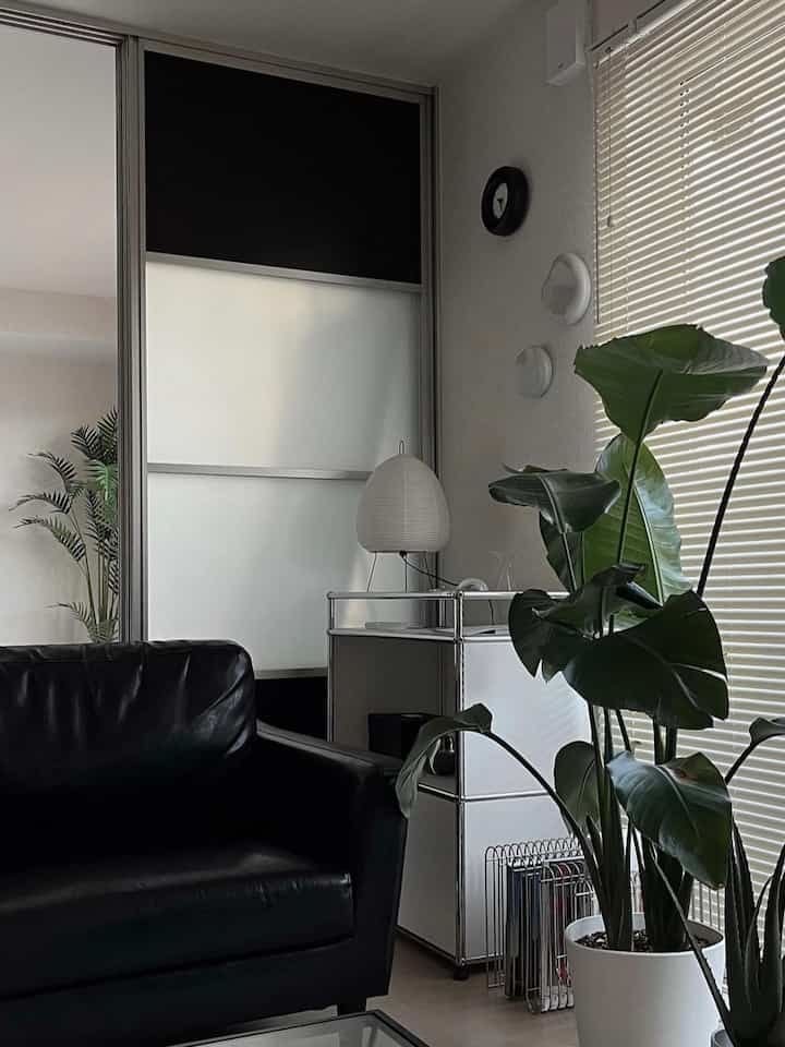 Modern black and white toned living room featuring leather sofa and plants with a clean interior atmosphere