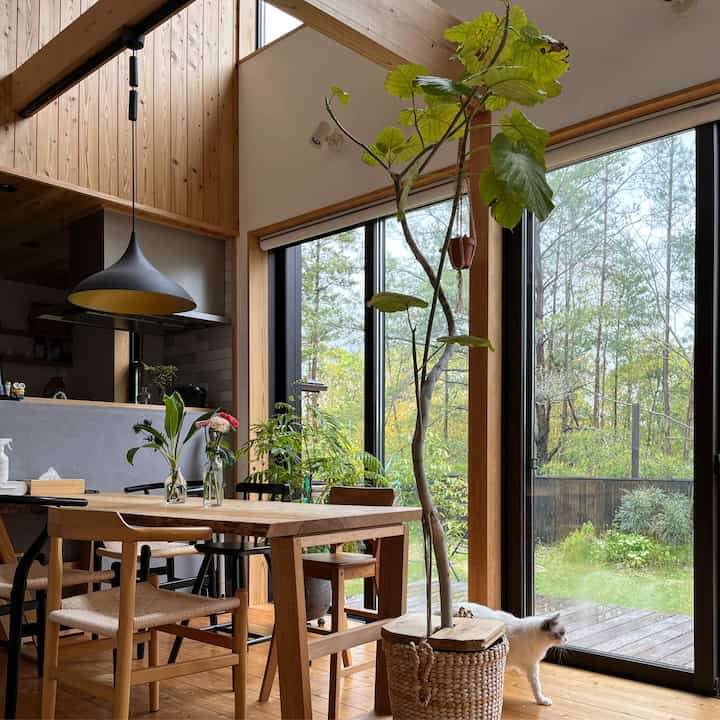 ナチュラルな木目調のリビング、広い窓と大きな植物が配置された落ち着いた雰囲気の空間