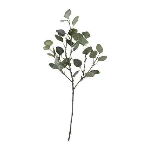 SMYCKA Daun tiruan, eucalyptus/hijau, 65 cm