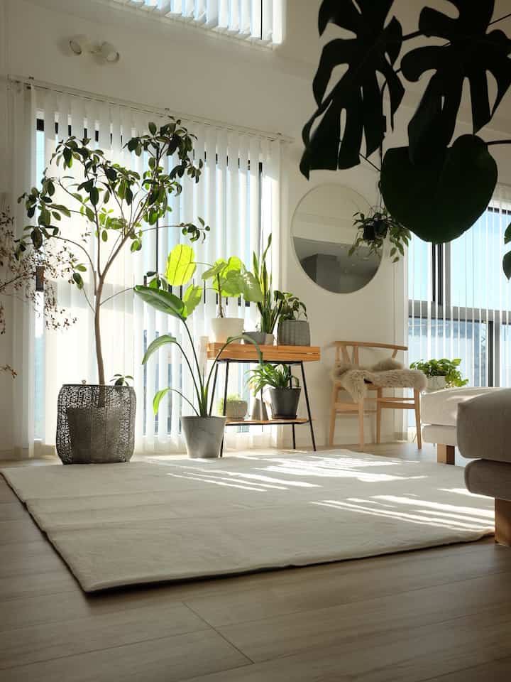 白とナチュラルベージュの明るいリビングスペース、ブラインド付きの大きな窓と自然光、緑豊かな植物が調和した雰囲気のあるインテリア