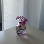 m_sapo님의 프로필 이미지