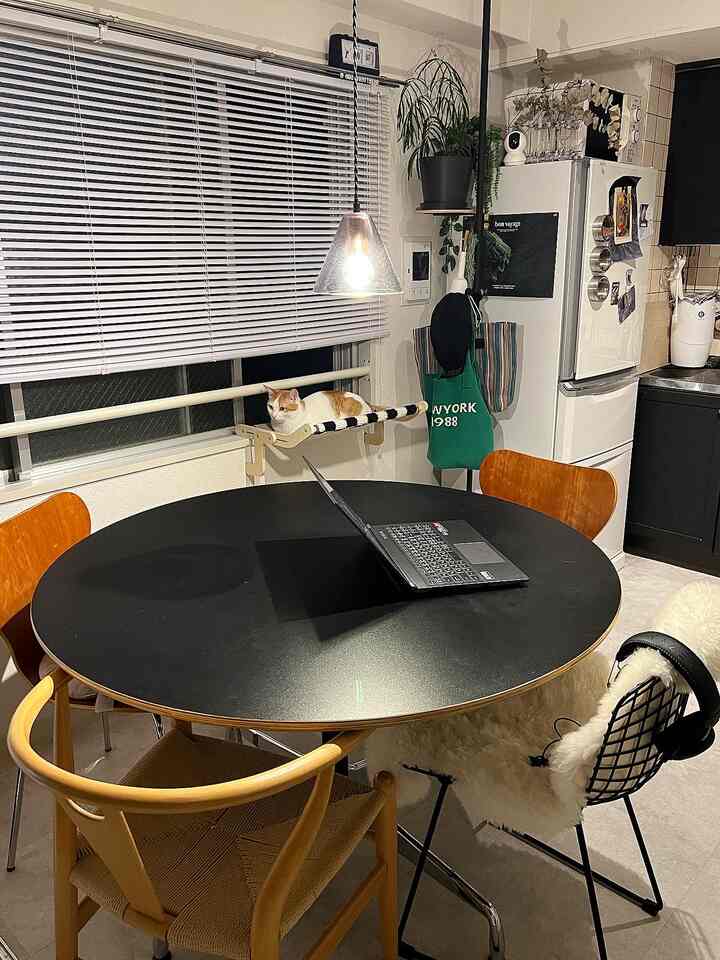 White-toned kitchen and dining area with black round dining table at center, surrounded by chairs and a cat resting on a wall-mounted shelf, modern interior