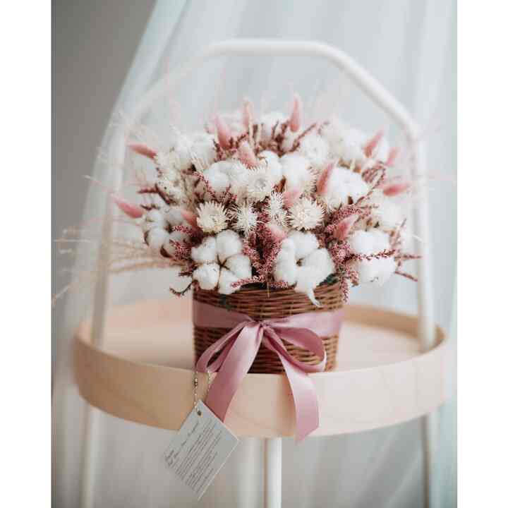 Yuki Tanaman Hias, Natural White