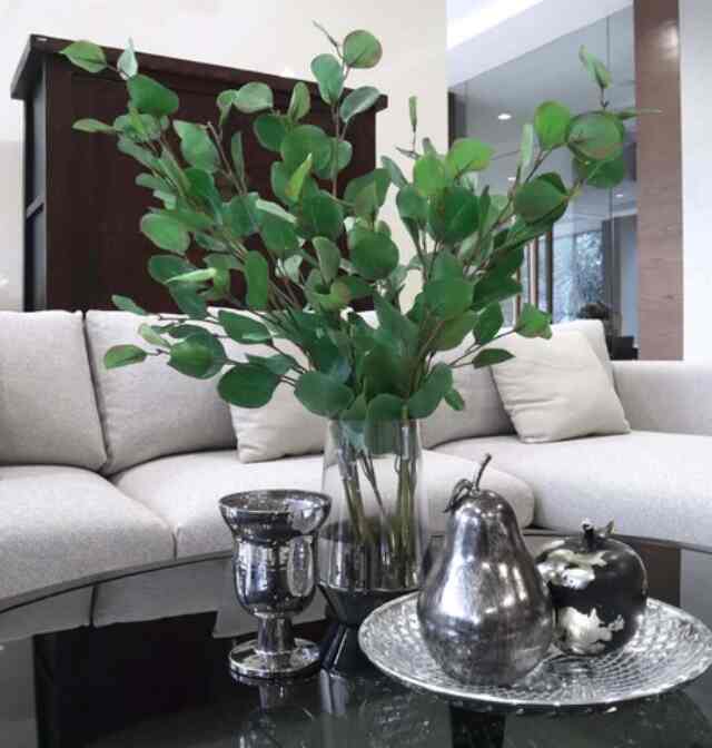 France Eucalyptus - Green