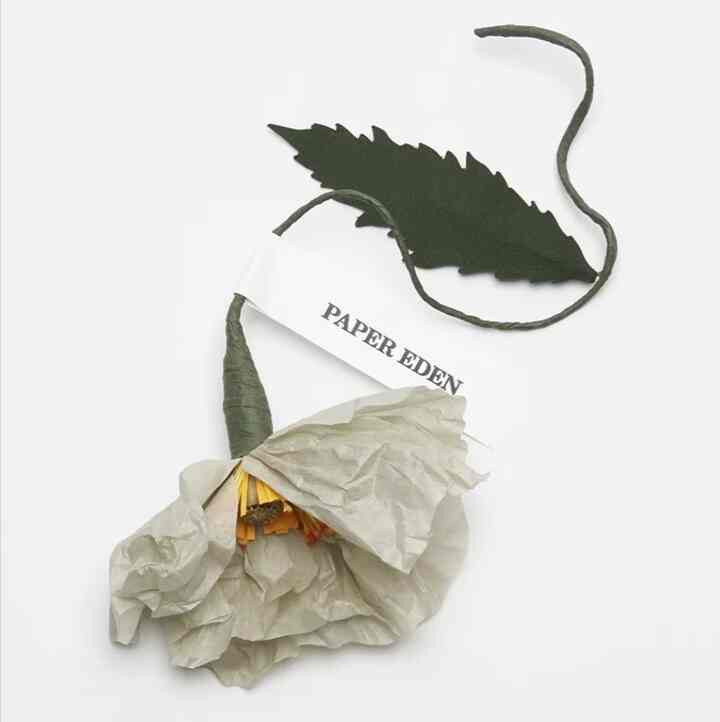 POST FLOWER “PAPER EDEN:Poppy”