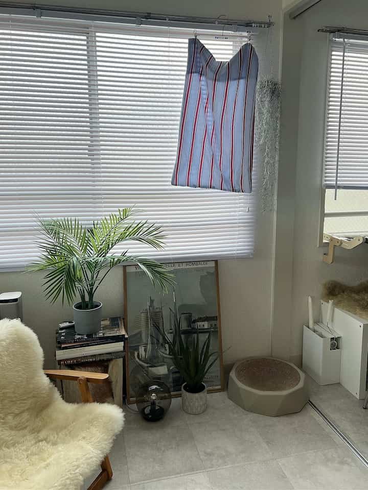 白と緑の色調の狭い部屋、ストライプのカーテンや植物、ペット用の爪とぎが置かれたナチュラルなインテリア