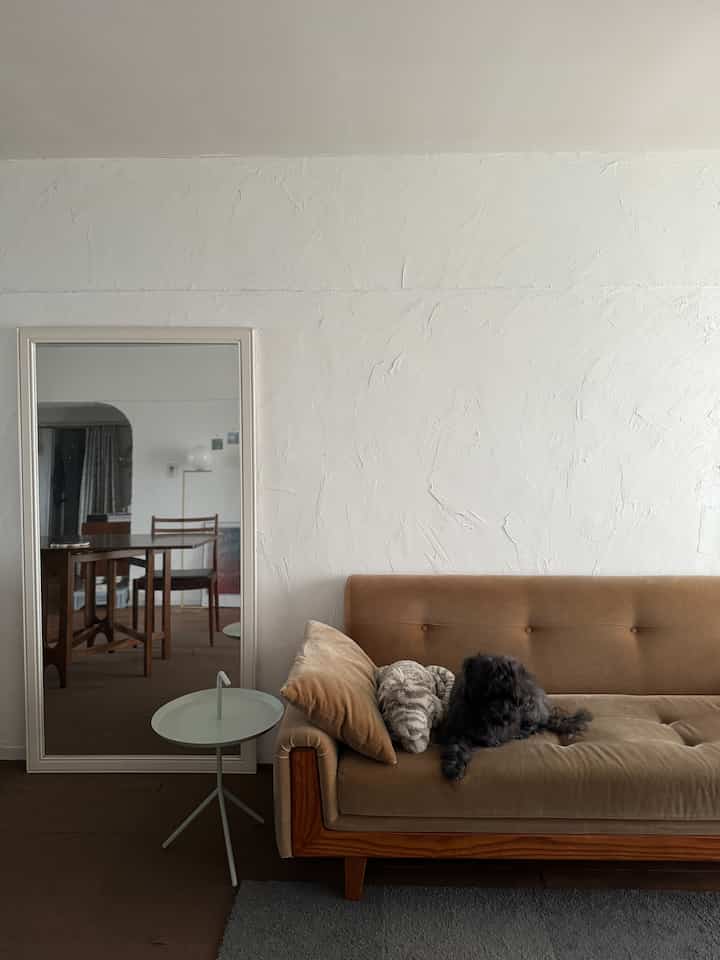 Natural brown sofa against a large white textured wall with a side table, featuring a relaxed living room space and a black dog on the sofa