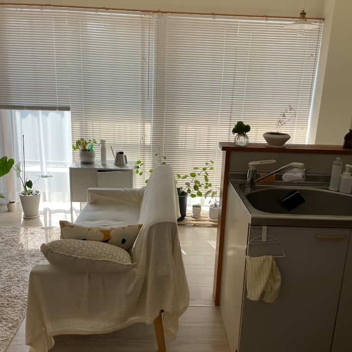 White and wood-tone living room and kitchen space featuring a sofa and plants with a cozy atmosphere