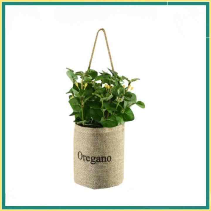 Tanaman Artifisial Oregano