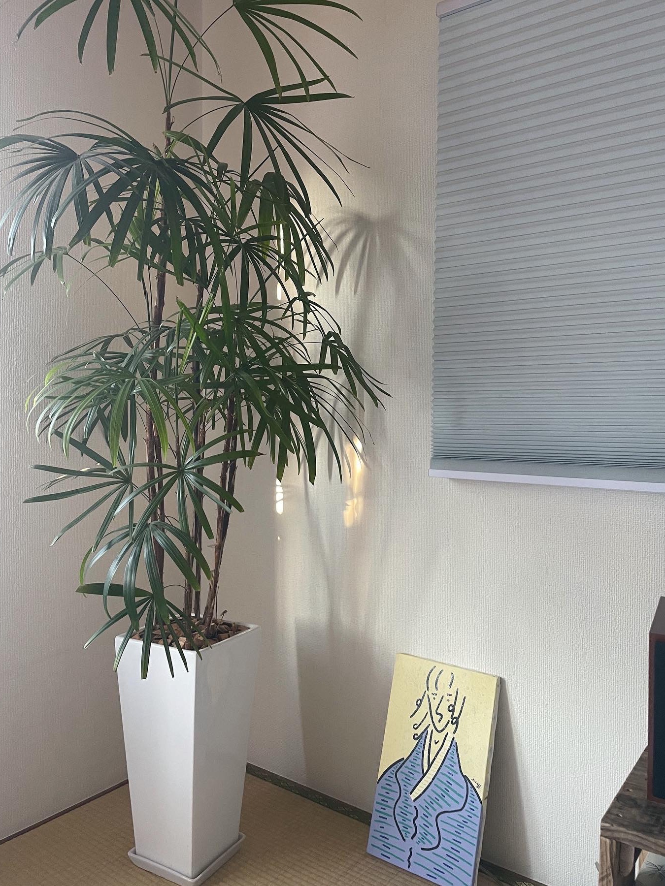 ニトリ コードレスハニカムシェード(サージュ2 )［2サイズ