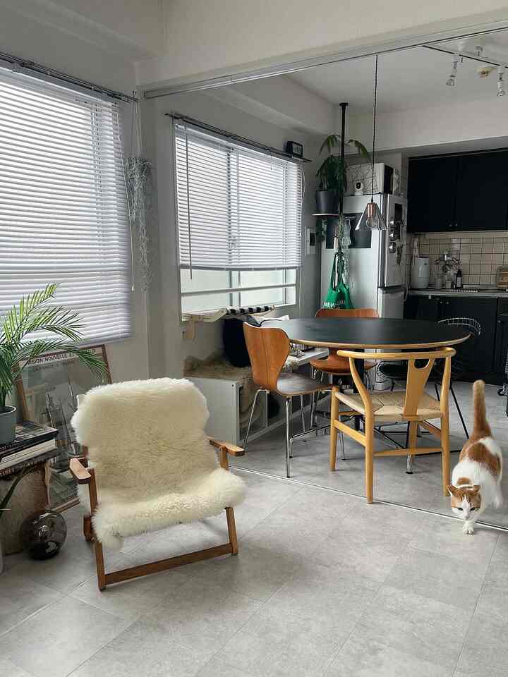 ナチュラルな色調のリビングとキッチン、木製のダイニングテーブルと椅子、猫が歩く落ち着いた雰囲気のインテリア