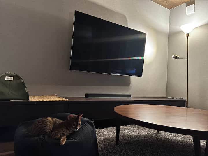 ブラックとブラウンの色調のリビング、壁掛けテレビと木製のコーヒーテーブル、ペットがくつろぐミニマルな空間