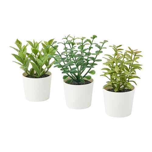 FEJKA, Tnmn pot plsu dg pot, set isi 3, dalam/luar ruang herba, 5 cm