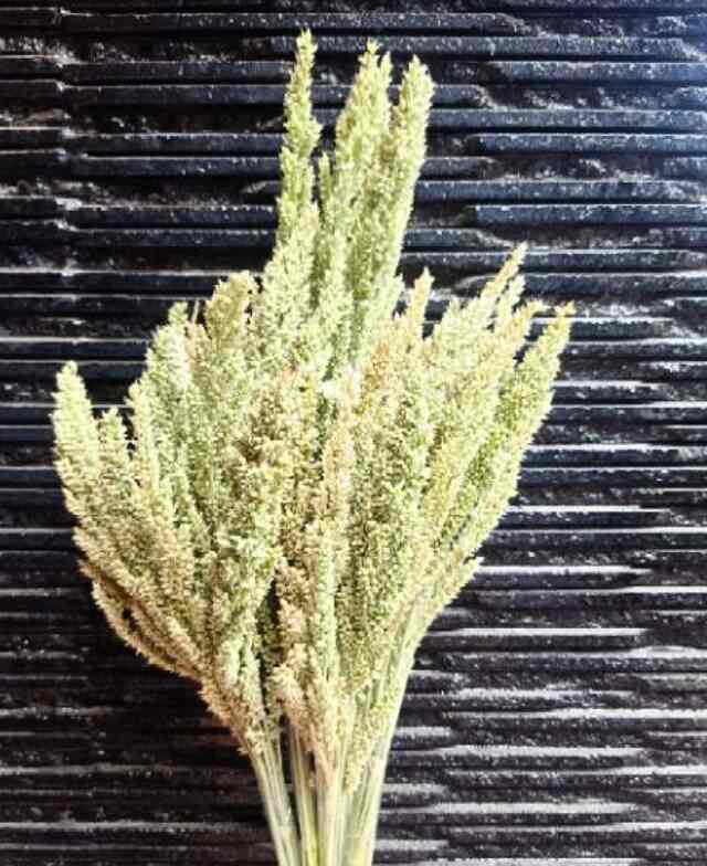 ARENHANDICRAFT Bunga Teki