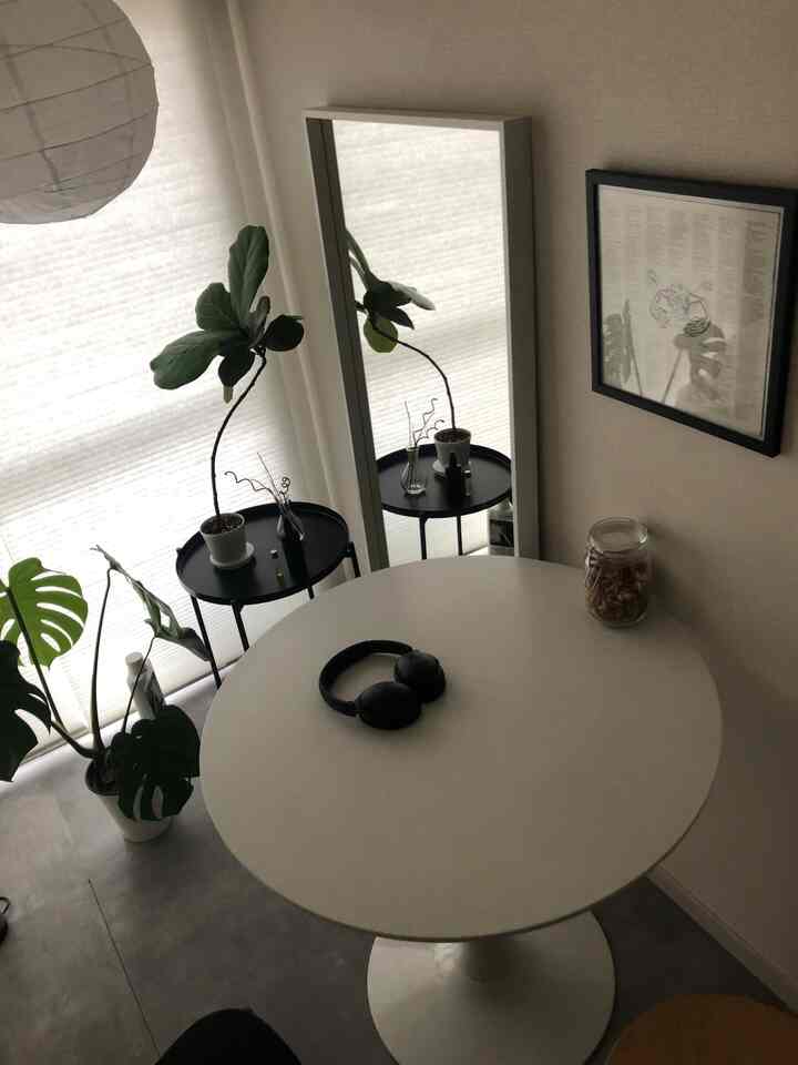 白色のトーンでまとめられたコンパクトな空間、丸テーブルと鏡、植物を配置したシンプルなインテリア