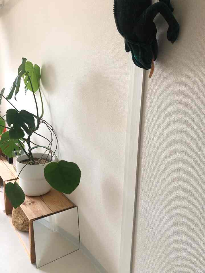 White and wood tone kids' room corner featuring plant and mirror creating a natural atmosphere