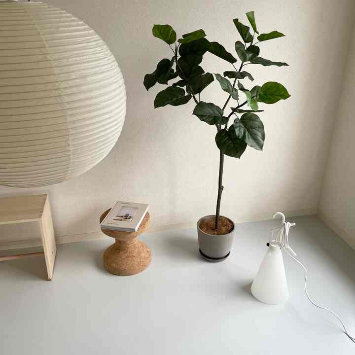 White and natural tone living room space featuring a large plant and simple floor lamp with minimalist interior