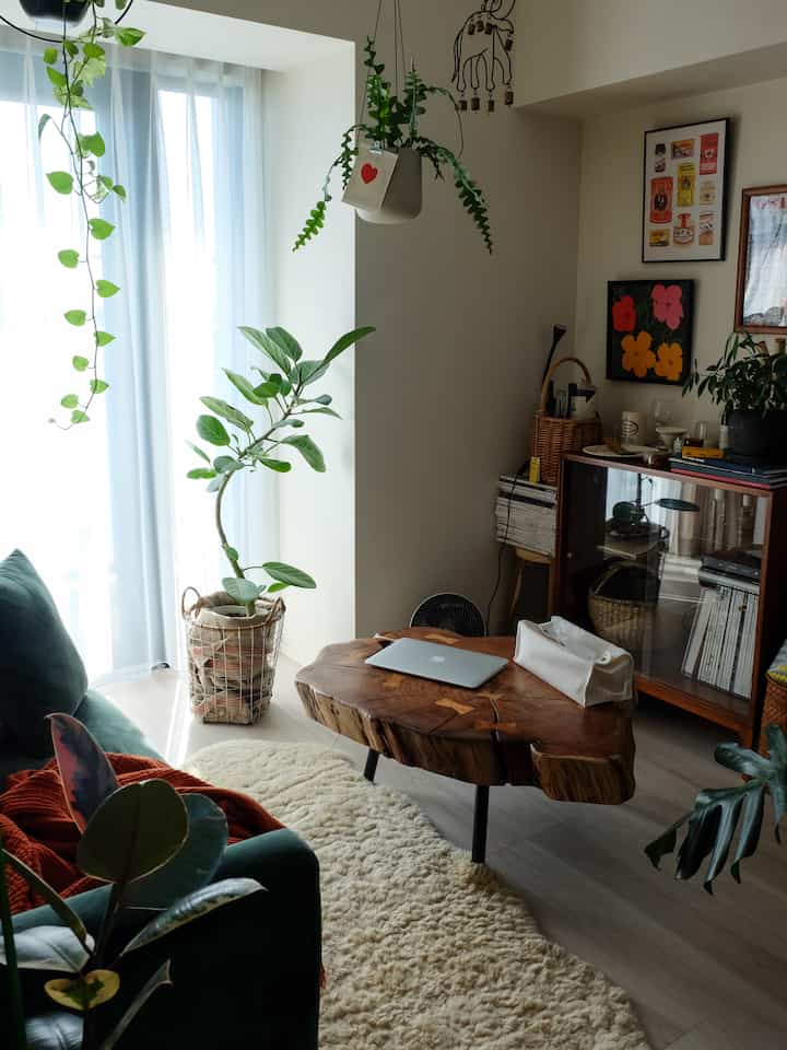 ふるさと納税の返礼品で届いたフィカスベンガレンシス 🌿

植え替えはまだ大丈夫そうだったから、鉢に布を巻いてプエブコのワイヤーバスケットに入れたらグッと雰囲気増した🫶🏻

#プエブコ #puebco #鉢カバー #鉢 #フィカスベンガレンシス #観葉植物 #インテリアグリーン #ハンギンググリーン #リビングルーム  #曲げ木 #コーヒーテーブル #ワイヤーバスケット 