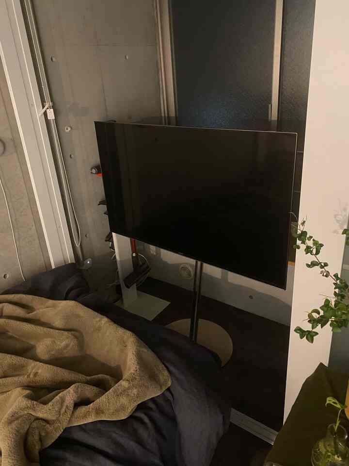 グレーの壁と黒いテレビ台があるシンプルな寝室、ベージュの毛布と緑の植物が配置されたナチュラルな空間