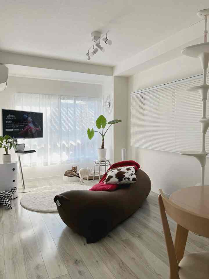 明るい白い壁とブラインドのシンプルモダンなリビング、ブラウンのビーンバッグソファとキャットタワー、2匹の猫がいる居心地の良い空間
