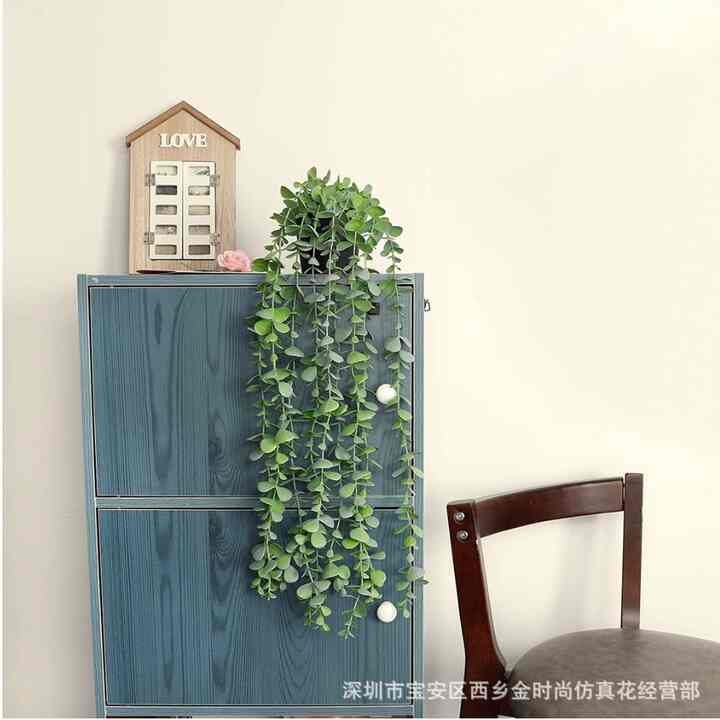 Daun Rambat Palsu Tanaman Hias