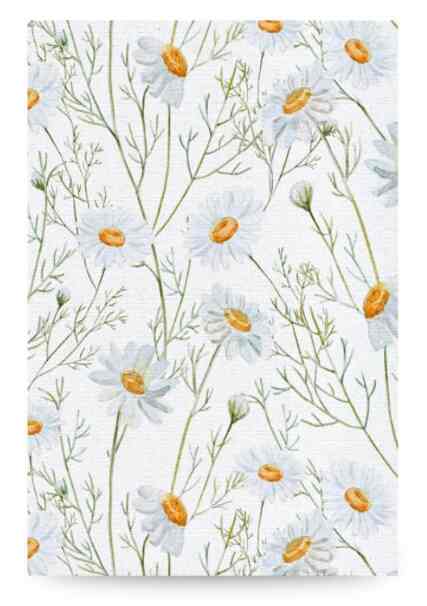 Wall Decor - White Daisy, 40x60cm