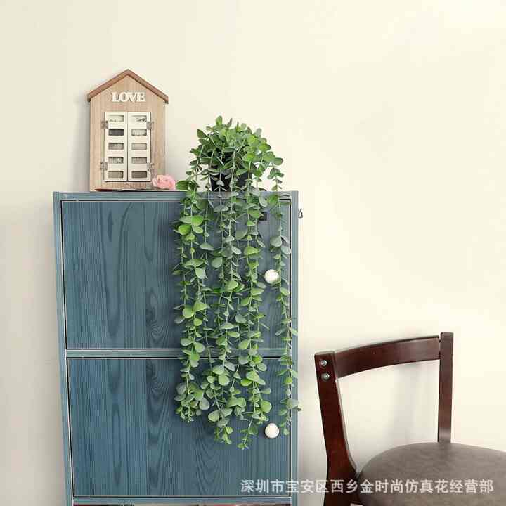 Tanaman Daun Rambat Palsu