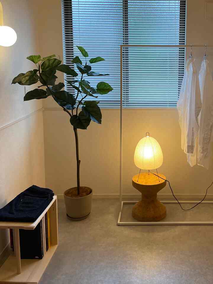 柔らかなイエローとナチュラルな色調のリビング、 大きな植物と間接照明が配置された落ち着いた印象的な空間