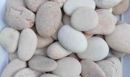 Batu Alam Koral Tabur Kerikil