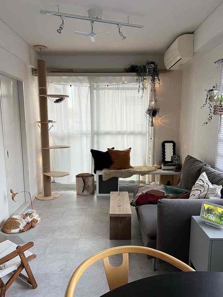 Natural wood-toned and gray compact living room featuring a sofa and cat tower creating a cozy, simple atmosphere