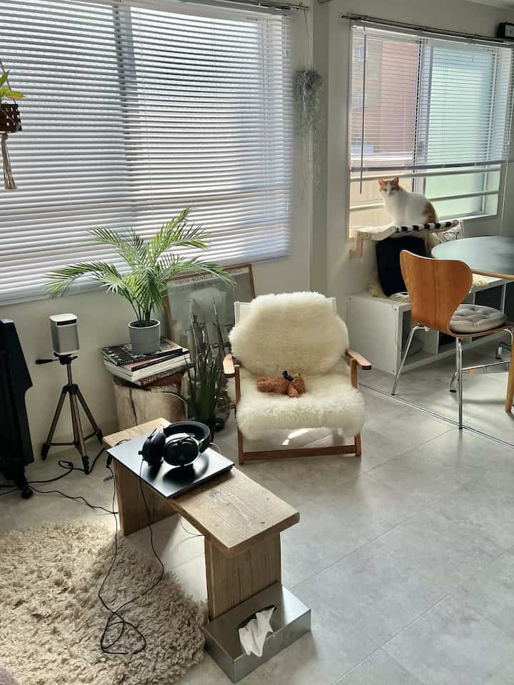Bright white and natural wood tone living room featuring a cozy armchair and a cat sitting by the window