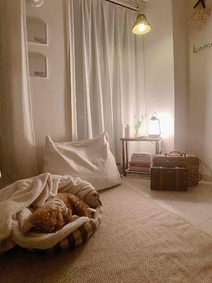 柔らかなベージュとブラウンの色調のリビング、ペットベッドとサイドテーブルの照明が配置された落ち着いた雰囲気の空間