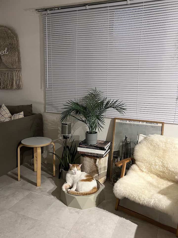 Living room with white and natural colors, featuring a cat, plants, and cozy natural furnishings