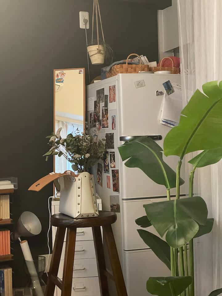 Natural tone room featuring a stool and green plant in front of a dark wall with a vanity dresser
