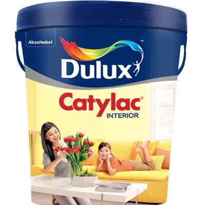 Dulux Catylac in White 1501