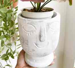 Pot Terakota Wajah Rustic White d.15cm pot tanaman hias