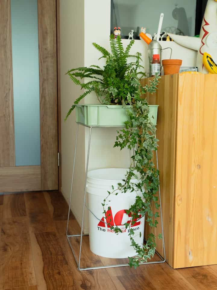 D&DEPARTMENT オリジナルの工業用のプラスチックケースに、アイアンで脚をつけたものです。我が家ではグリーンを入れております。

#インテリア #生活感のある暮し 
#instahome  #リノベーション #リノベマンション  #中古マンション #DANDDEPARTMENT
#インダストリアル #グリーン