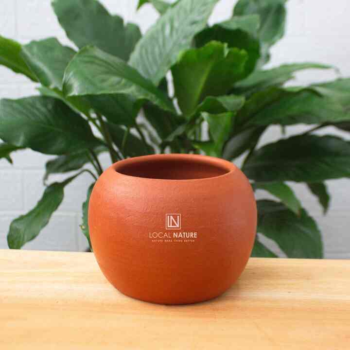 Pot teracota