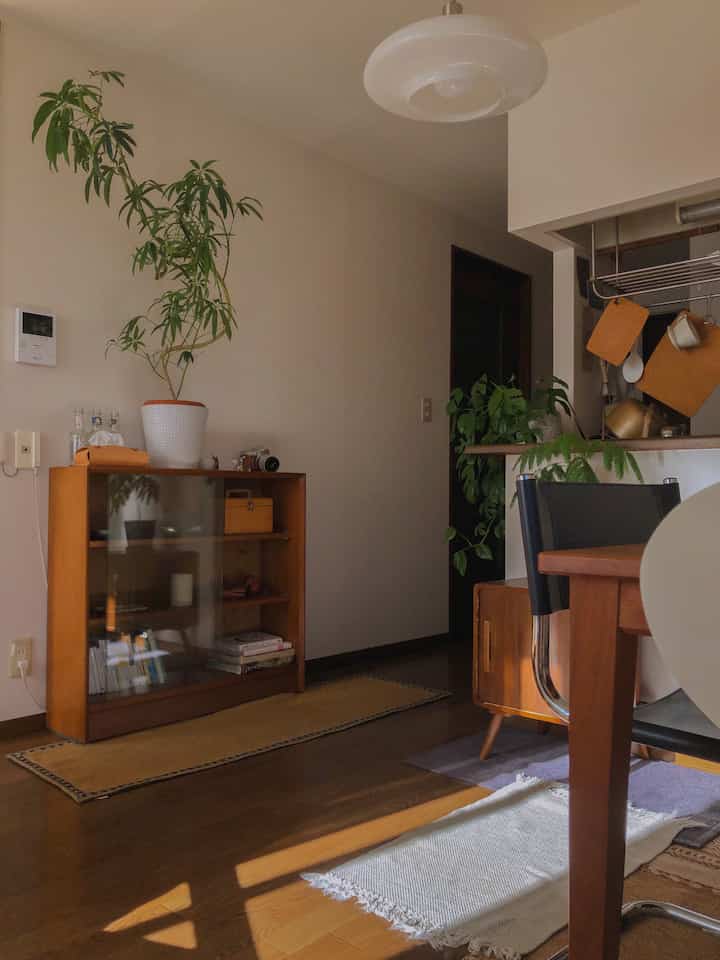 Natural-toned dining room featuring wooden furniture and plants with a cozy atmosphere