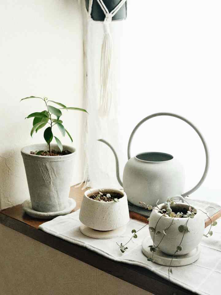 白とナチュラルカラーの1LDK出窓、セメント鉢とリネンカーテンが配置された雰囲気ある植物の空間