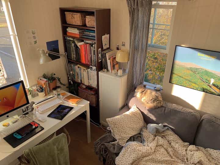 自然光が差し込む小さなリビング、グレーの3人掛けソファに猫が座り、隣にデスクと本棚が配置されたナチュラルモダンな空間