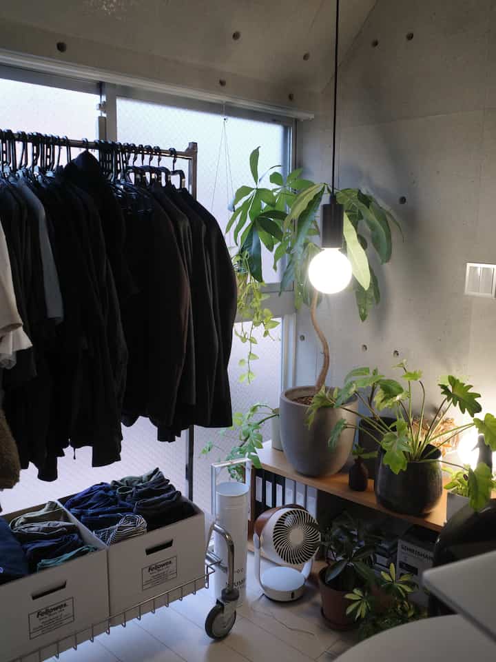 Bright white-toned narrow entrance area with multiple plants on shelves to the right and a hanging pendant light, featuring a garment rack and storage boxes